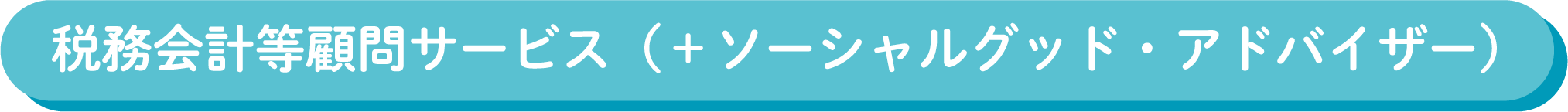税務会計等顧問サービス（＋ソーシャルグッド・アドバイザー）